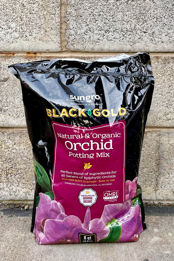 Black Gold Orchid Mix 8 quart against a grey wall