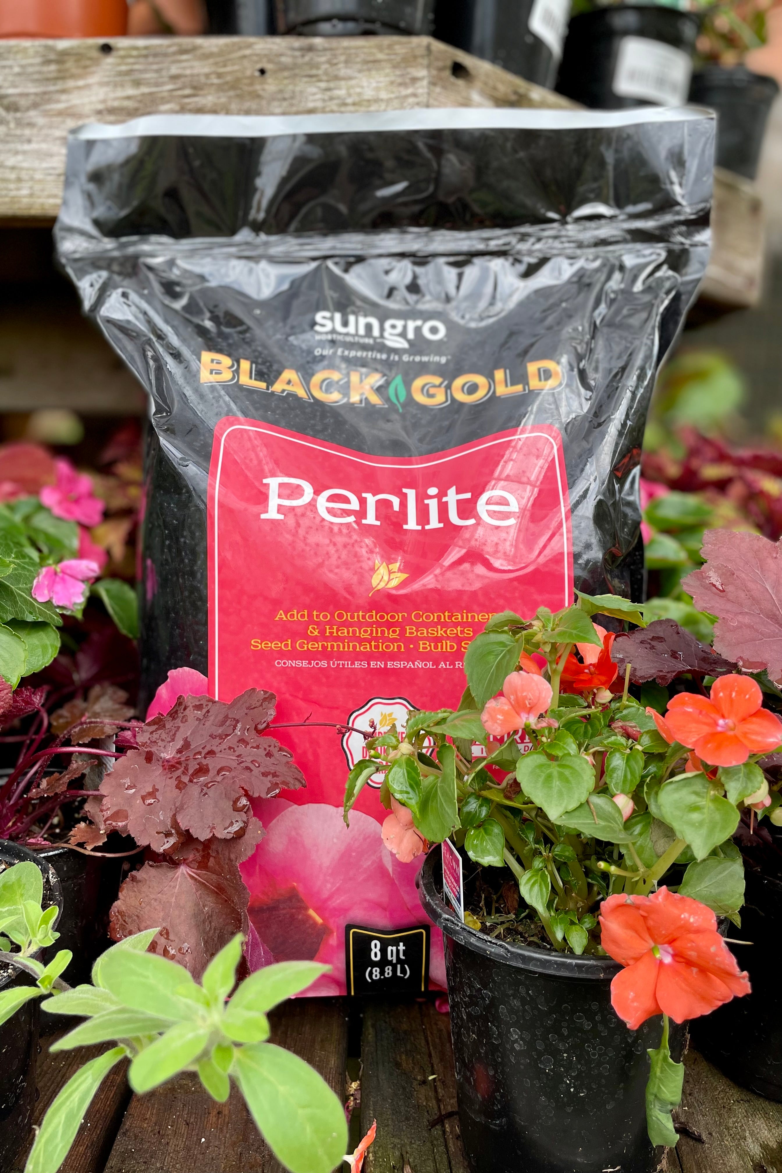 Black Gold Perlite 8 qt.