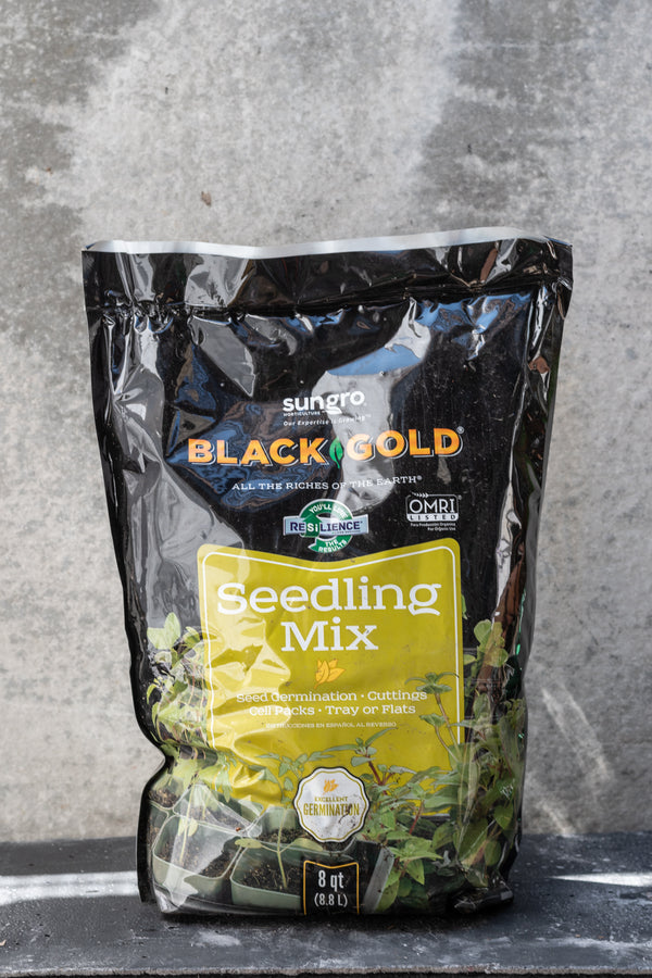 A bag of 8quart Black Gold seedling mix against a grey wall at Sprout Home.