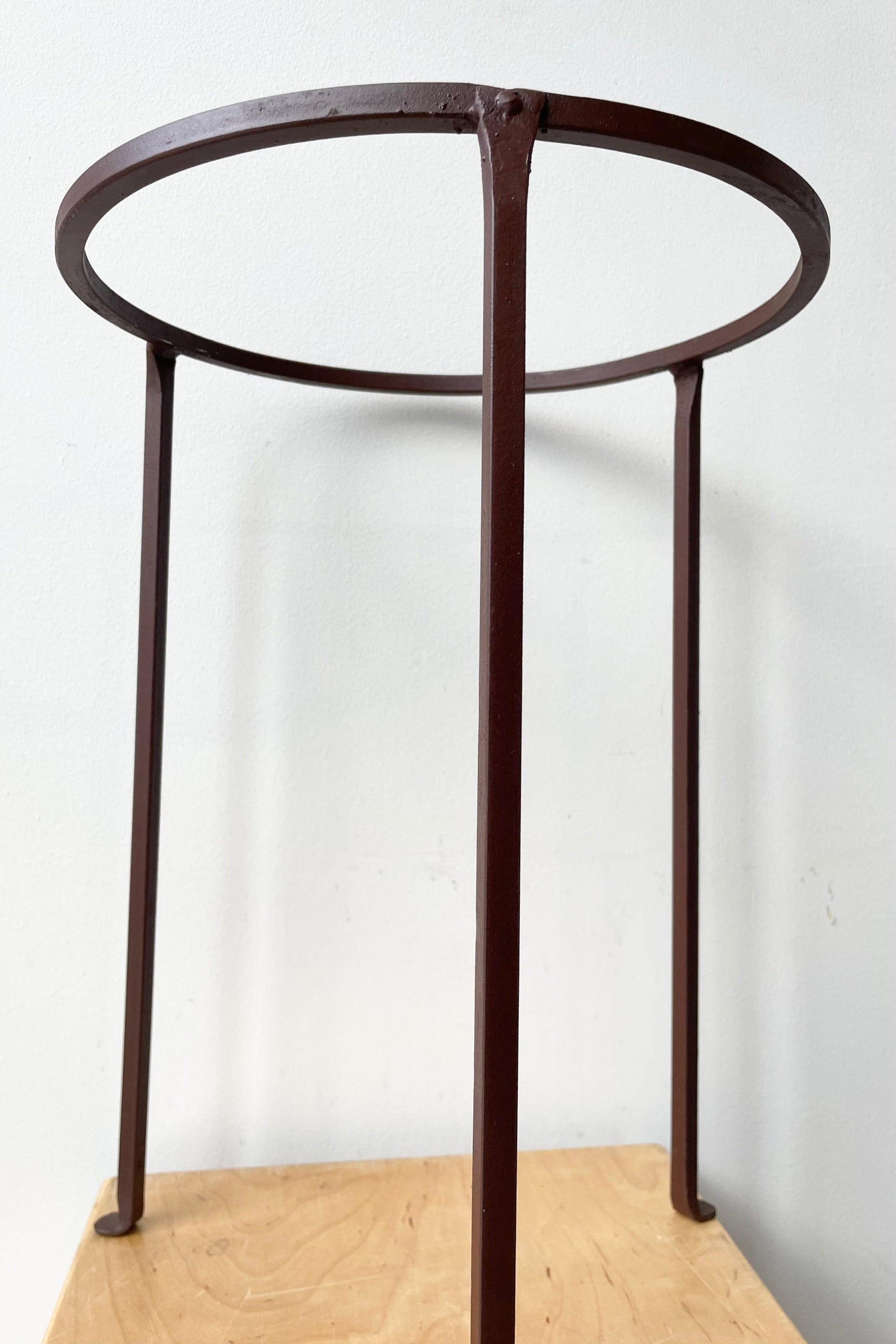 detail of the Iron Plant Stand Low 12" D x 17" H against a white wall  ©Sprout Home