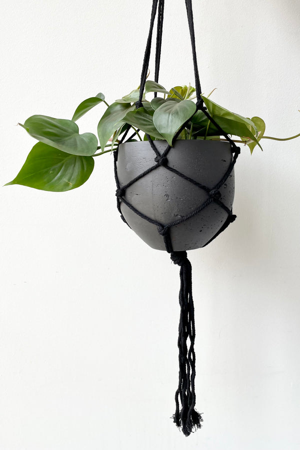 The black cotton macrame hanger holding a Black small orb pot and a philodendron.
