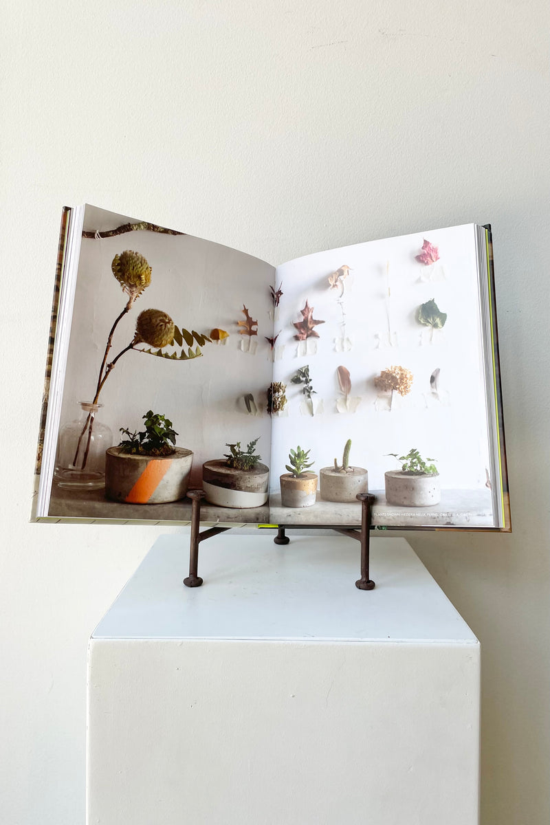 detail of The book "Rooted In Design" by Tara Heibel and Tassy de Give sits on a white surface in a white room.
