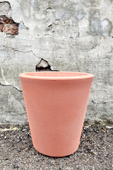 Madison Weathered Terracotta Planter 14" by Crescent Trading in front of concrete wall