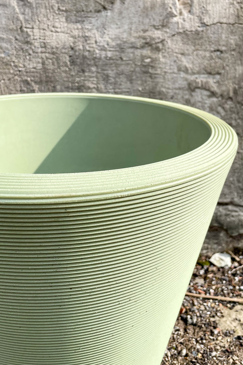 Madison Lemongrass Planter 14" by Crescent Trading in front of concrete wall
