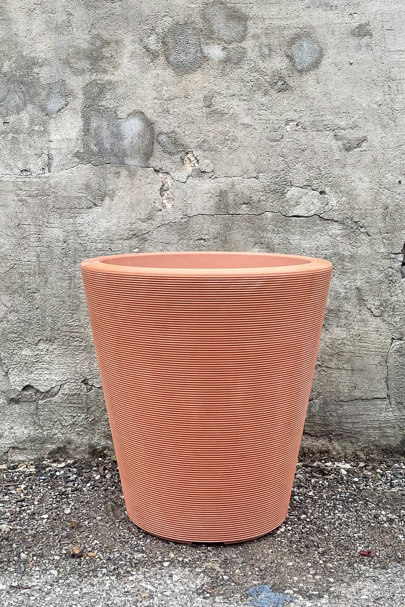 Madison Weathered Terracotta Planter 16" by Crescent Trading in front of concrete wall