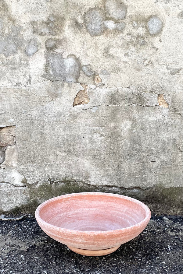 A frontal view of Ada Clay Bowl & Saucer rosa 40cm against concrete backdrop
