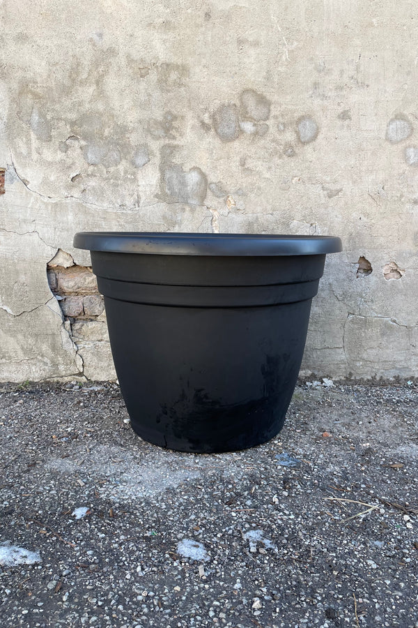 The 25" black Emma round planter against a cement wall. 