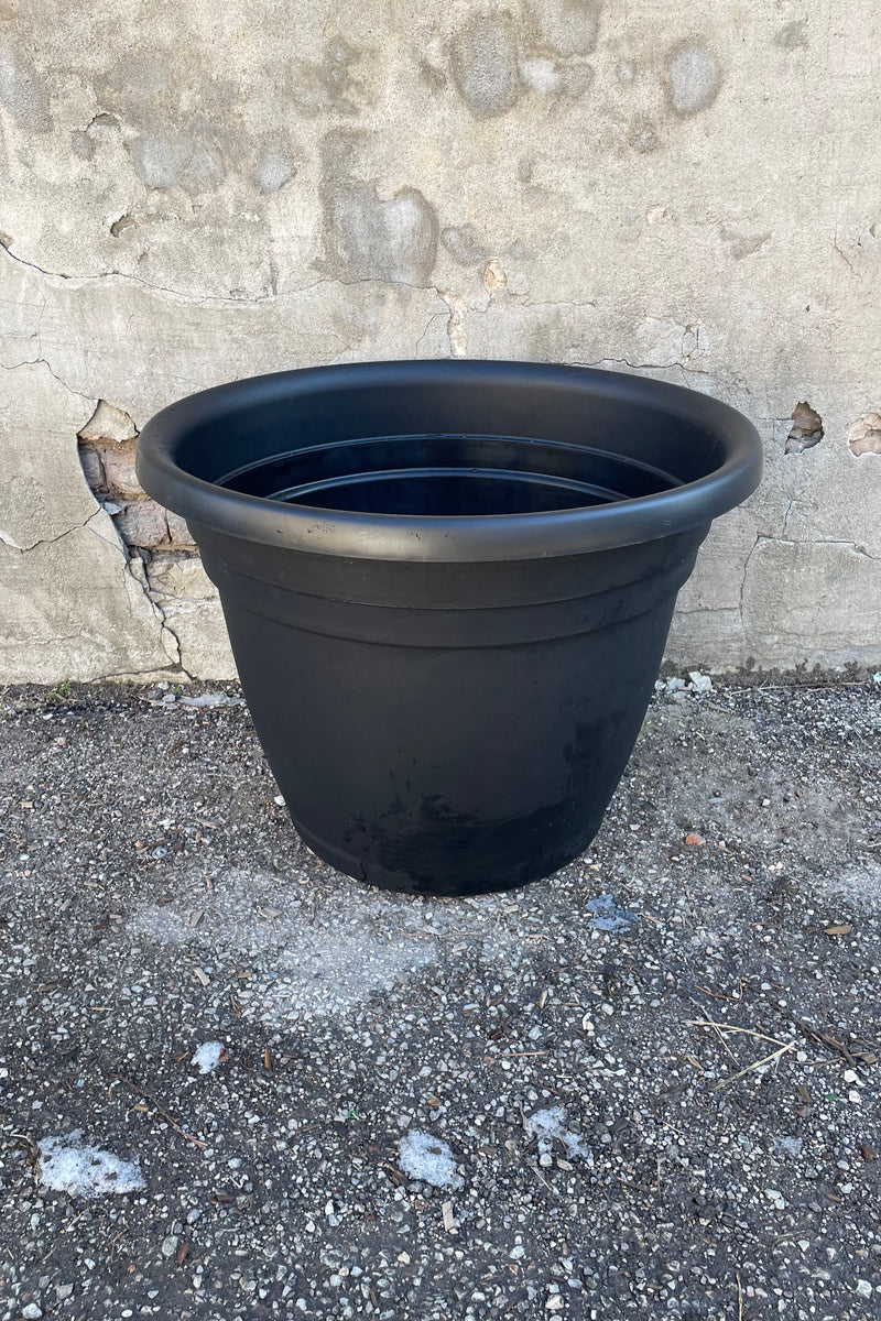 The 25" black Emma round planter against a cement wall. 