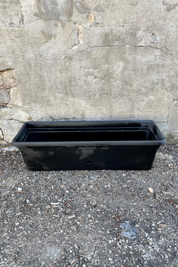 The black emma rectangular planter 24" against a concrete wall. 