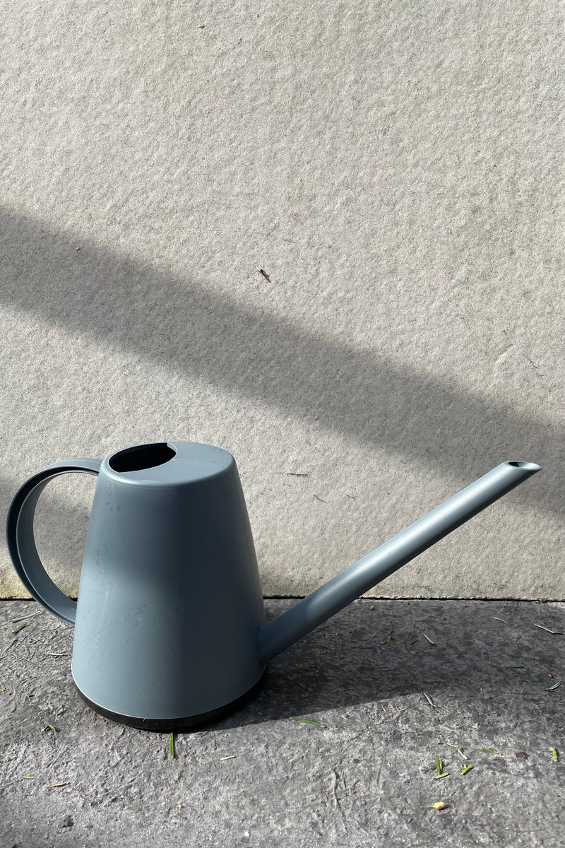 grey Cleo watering can against a grey wall. 