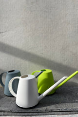 A collection Cleo watering cans in green, white and grey against a grey wall.