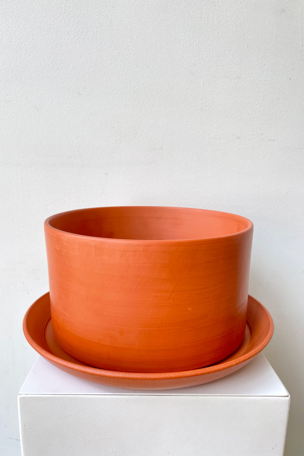 A slight overhead view of a terracotta planter sitting atop a detached terracotta saucer against a white backdrop