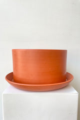 A full-body shot of a terracotta planter sitting atop a detached terracotta saucer against a white backdrop