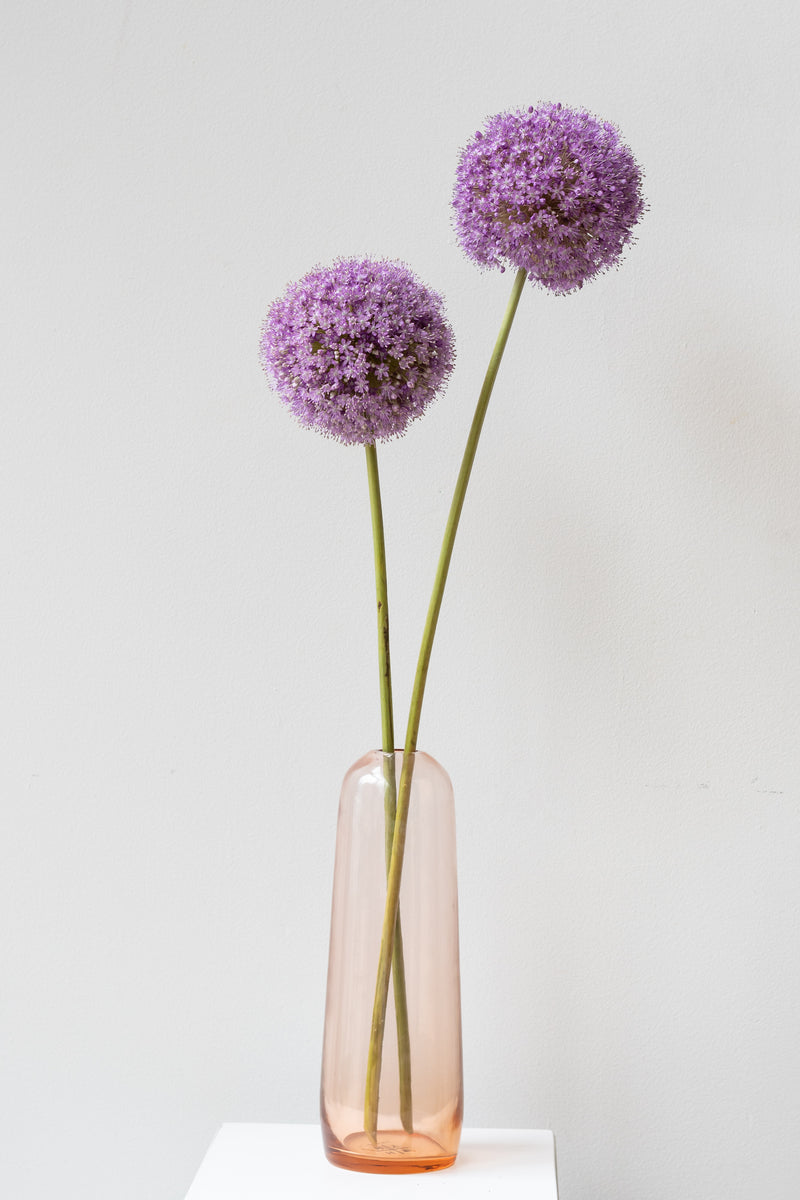 Hawkins New York small blush Aurora pill vase in front of white background. Inside the vase are two purple allium stems