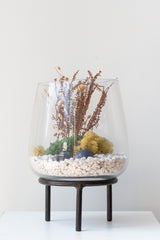 Glass terrarium on top of 4 inch iron metal tripod pot stand on a white surface in a white room