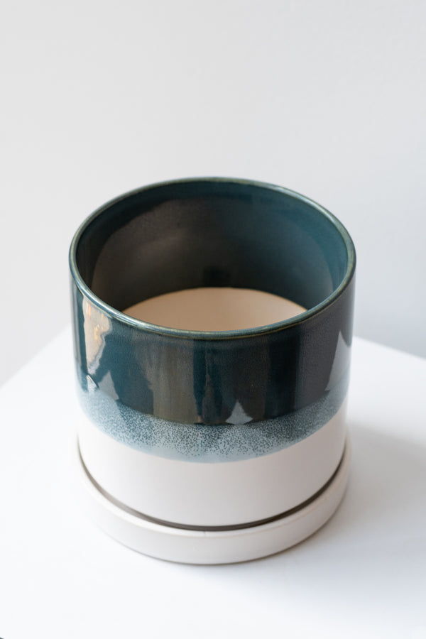 Large Green Blue Minute Pot sits on a white surface in a white room