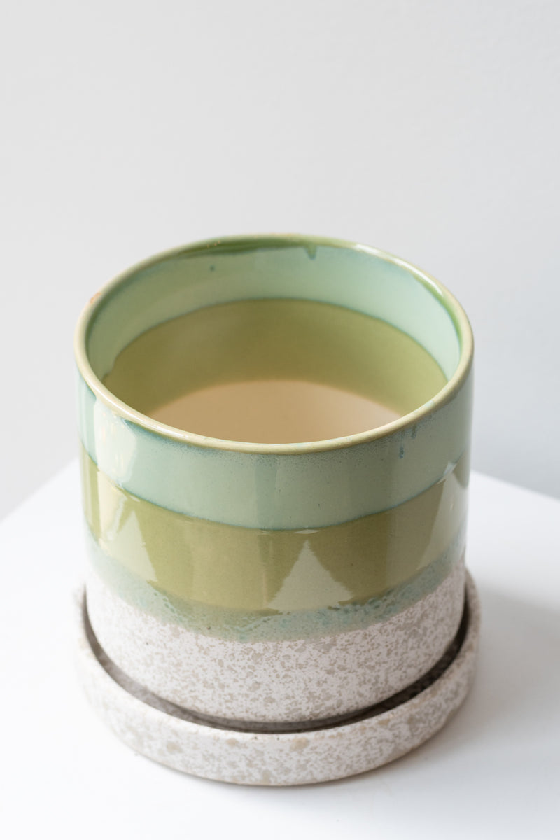 Large Green Cement Minute Pot sits on a white surface in a white room