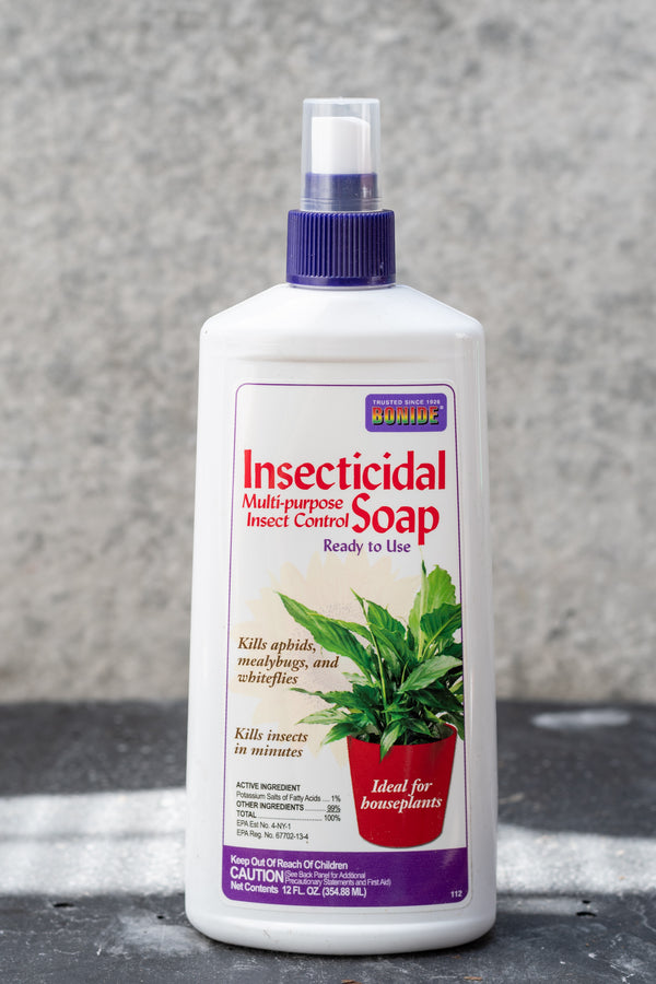 Bonide Insecticidal Soap in a 12oz spray bottle shown against a grey concrete wall.