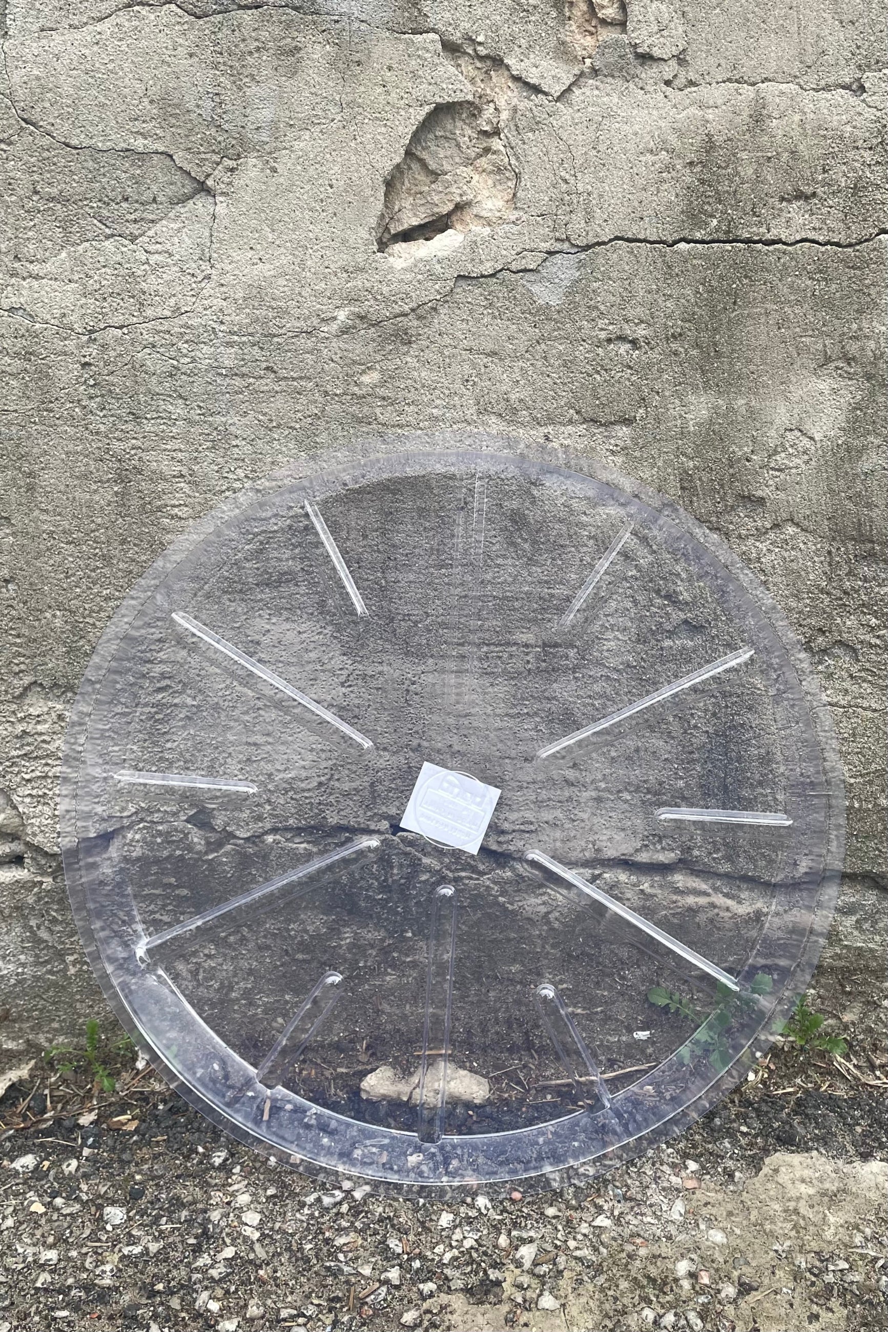 A full overhead view of Plastic saucer 16" against concrete backdrop  ©Sprout Home