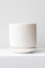 Large white Virago C Planter sits on a white surface in a white room
