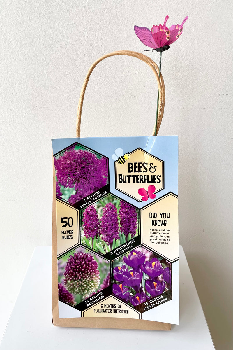 Bag of Bee Purple Bulb collection of purple colors flowering bulbs that bloom next spring and summer.  