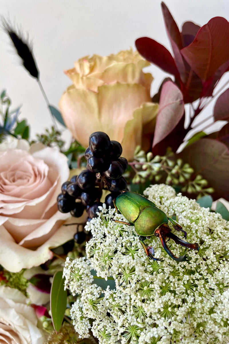 Detail picture of a green beetle on top of a Betelgeuse arrangement by Sprout Home.