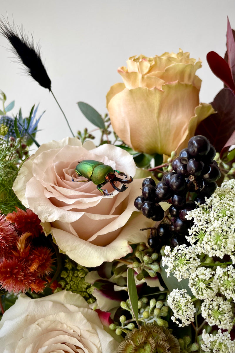 Detail of a green beetle on top of a rose in the Betelgeuse arrangement by Sprout Home. 