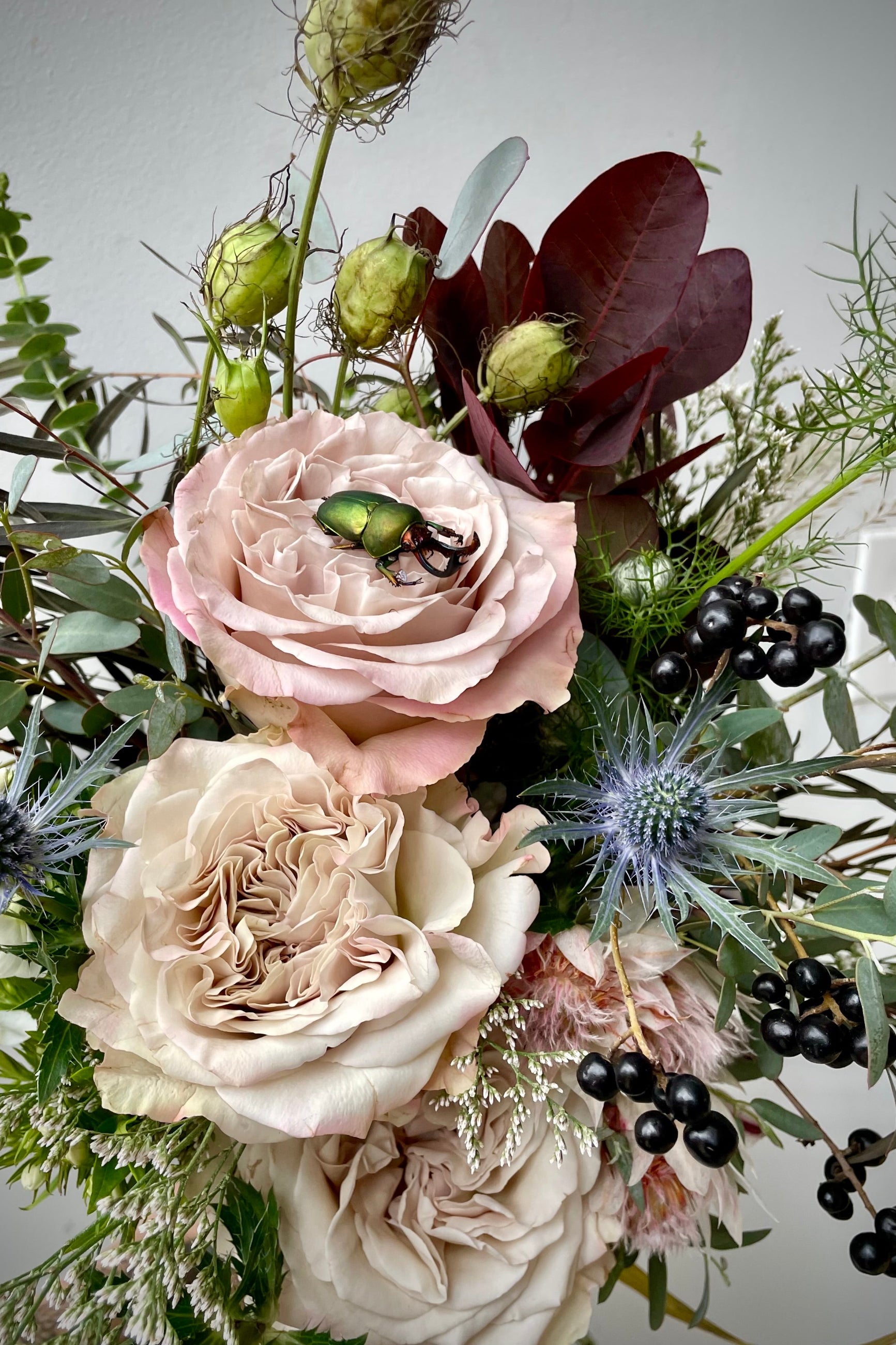 Betelgeuse, Bettlejuice arrangement by Sprout Home complete with a bug ©Sprout Home #size_$130