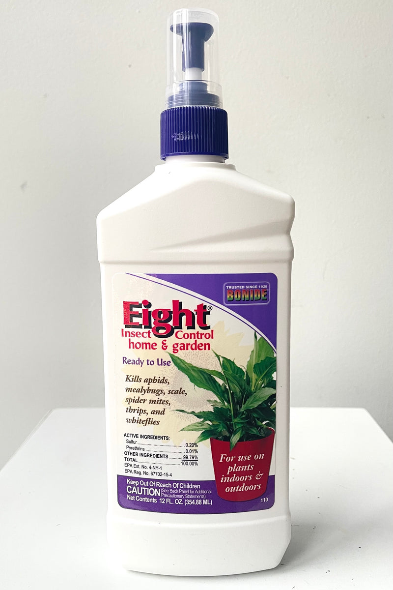 A full view of Bonide Eight House Plant Insect Killer 12oz against white backdrop