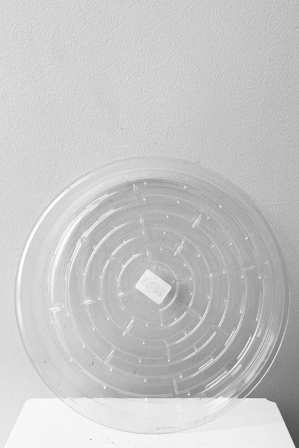 A full overhead view of Plastic saucer 10" against white backdrop