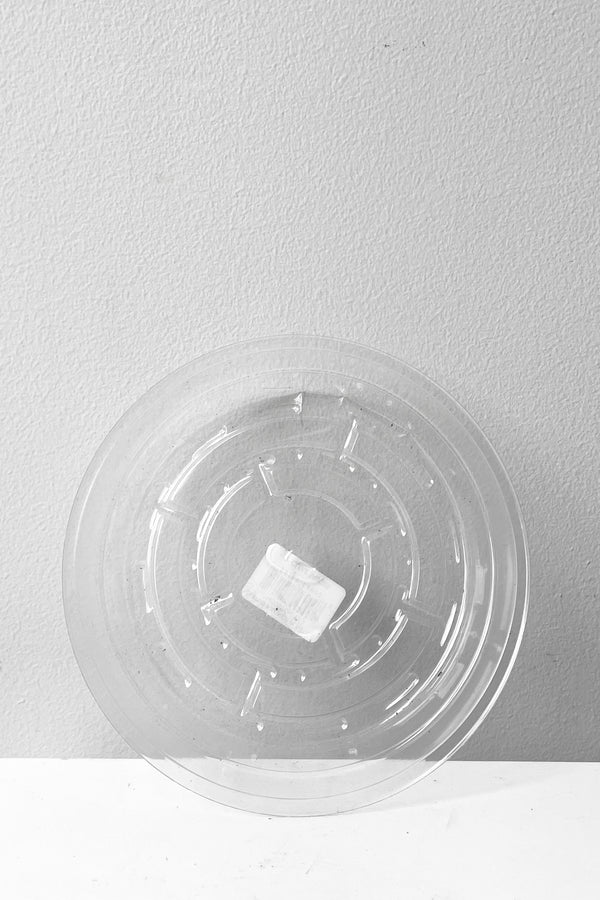 A full overhead view of Plastic saucer 6" against white backdrop