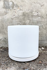 The 12" solid cylinder and saucer in white against a cement wall. 