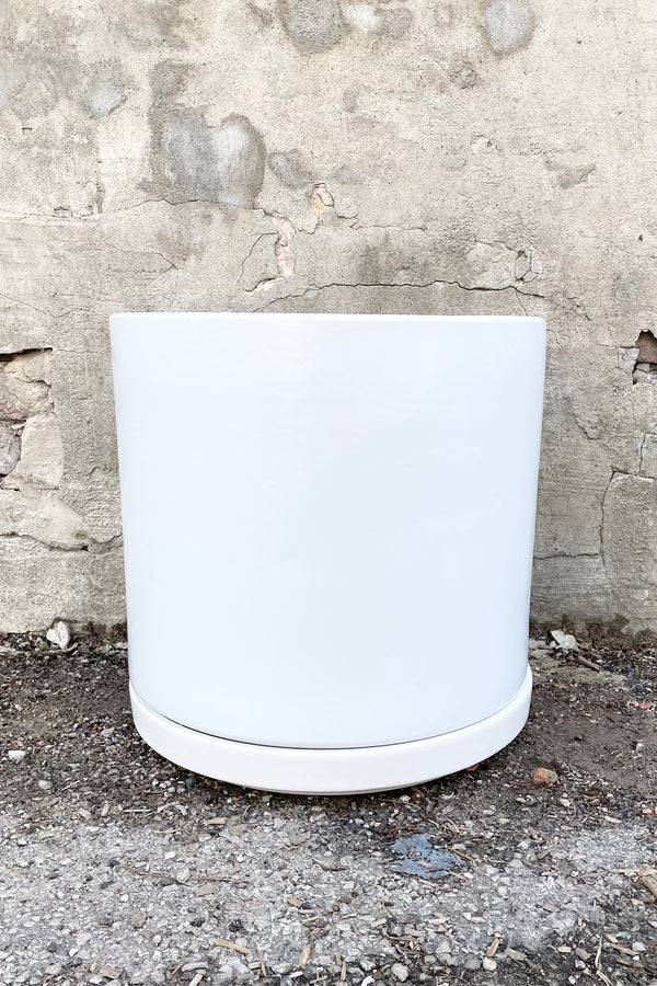 15" white solid cylinder and saucer against a cement wall. 