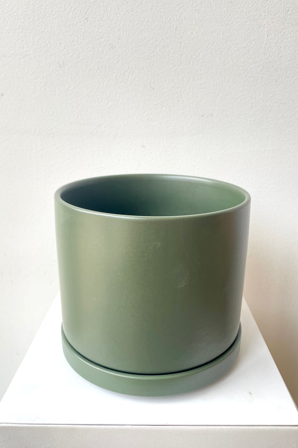 A slight over-the-lip view of the 6" solid cylinder and saucer in forest green against a white backdrop
