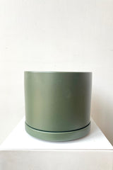A frontal view of the 6" solid cylinder and saucer in forest green against a white backdrop
