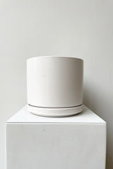 Solid Cylinder & Saucer white 6” against a white wall