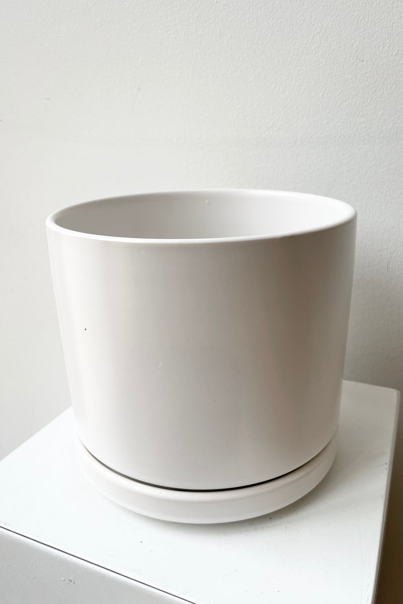 detail of the top of Solid Cylinder & Saucer white 6” against a white wall