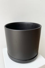Detail of Solid Cylinder & Saucer black 8” against a white wall