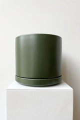 Solid Cylinder & Saucer forest green 8” against a white wall