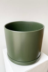 detail of the top of Solid Cylinder & Saucer forest green 8” against a white wall