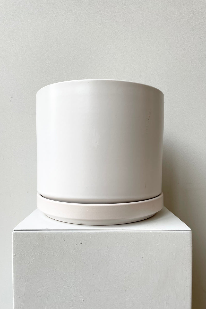 Solid Cylinder & Saucer white 8” against a white wall