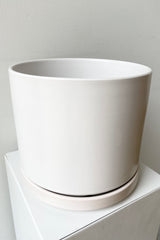 Detail of the top of Solid Cylinder & Saucer white 8” against a white wall