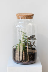 Overall shot of the Chela Terrarium and its cork lid.