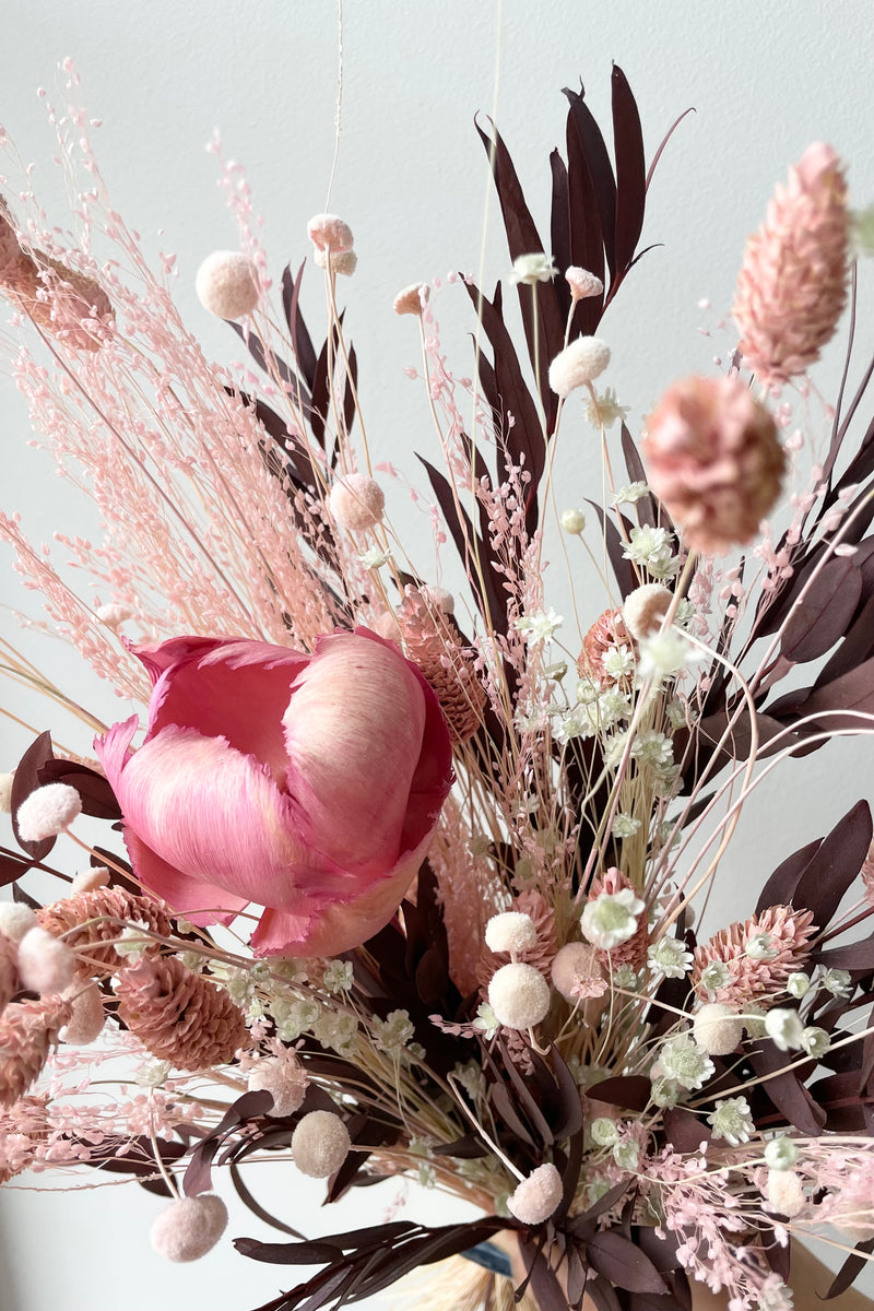 Sprout Home's Chocoberry preserved arrangement  detail picture against a white wall.