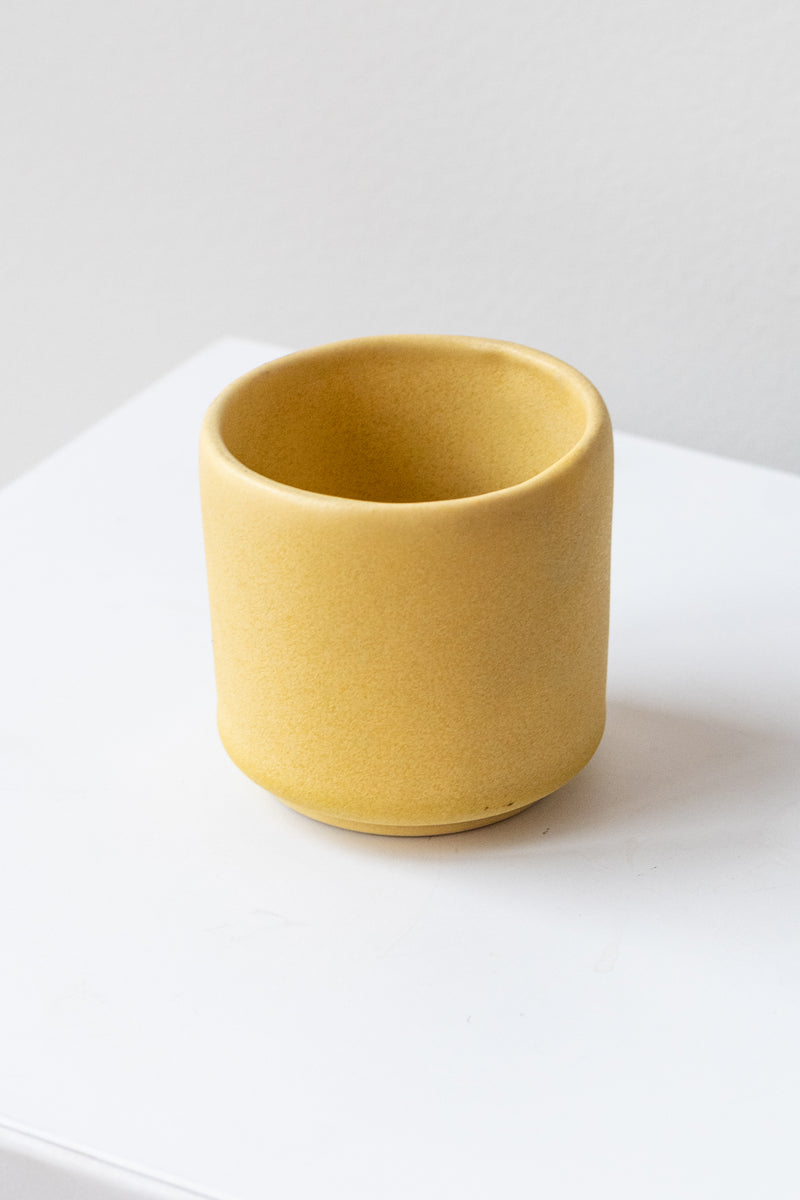 A small yellow cup planter sits on a white surface in a white room. It is photographed closer and at an angle.