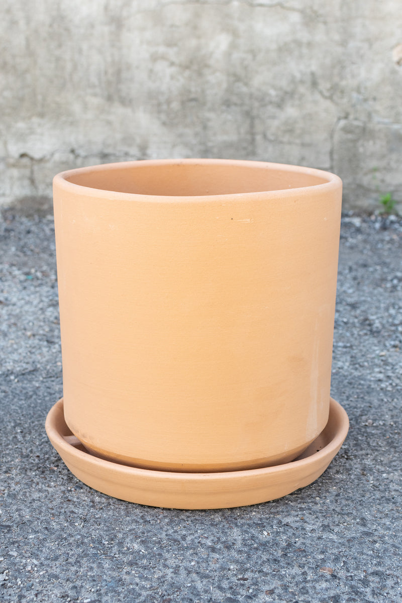 Buff clay 10 inch cylinder planter sits in front of a concrete wall