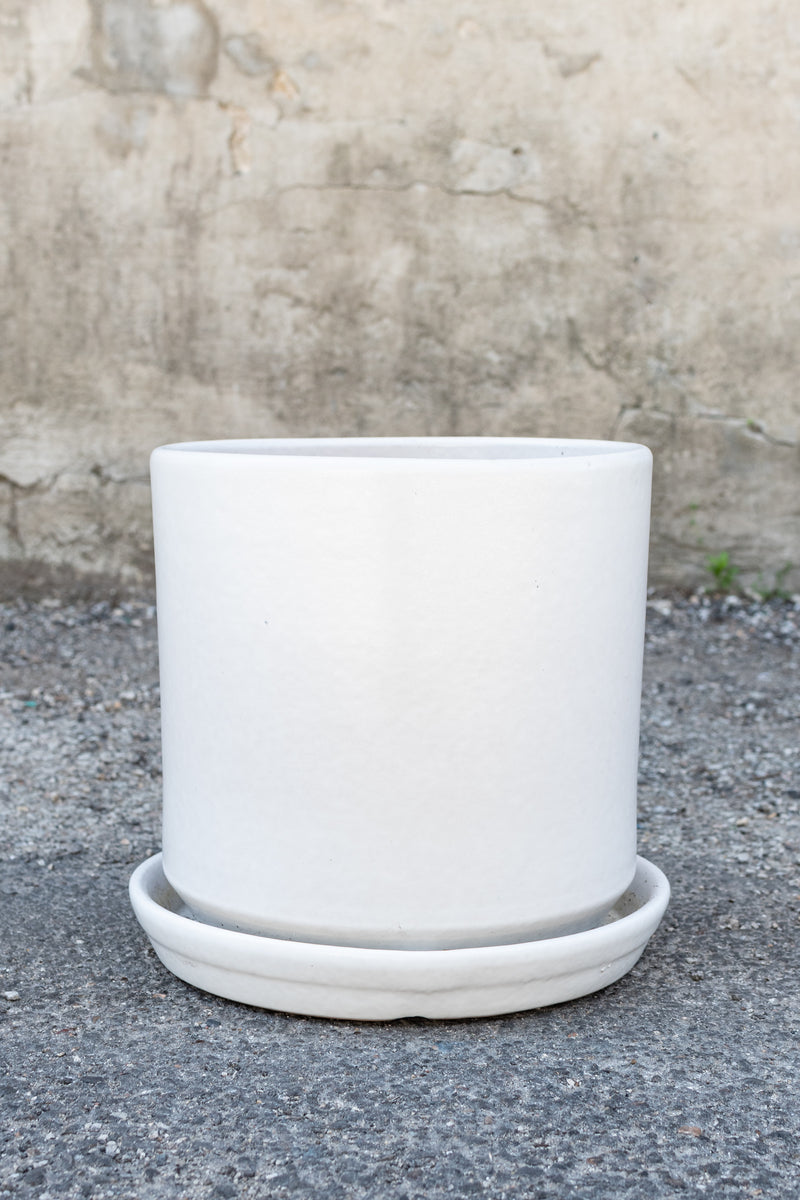 Matte white 10 inch cylinder planter sits in front of a concrete wall