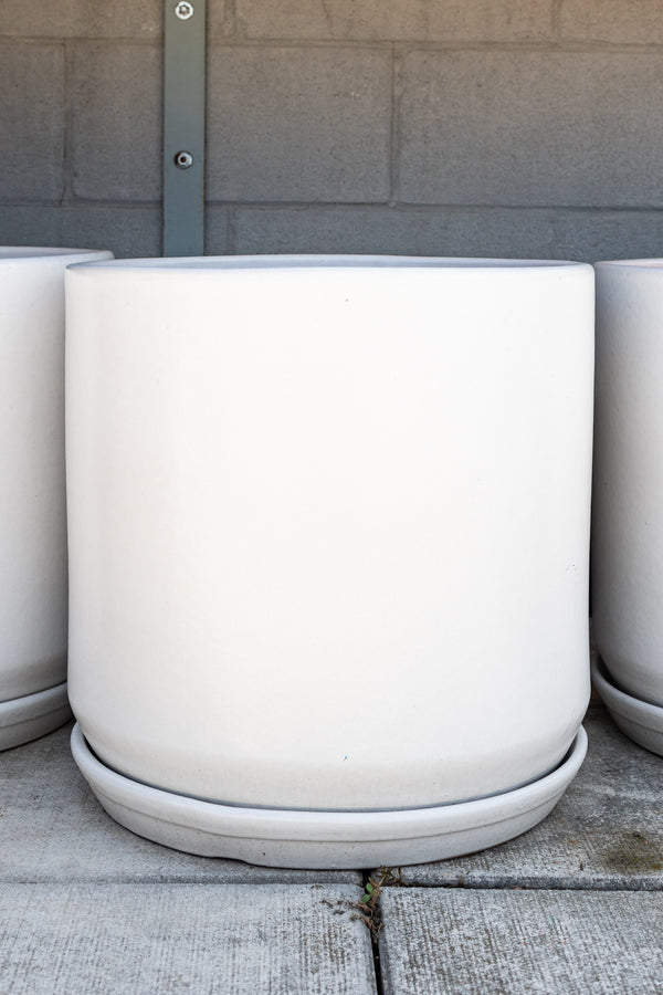 Matte white 18 inch cylinder planter sits in front of a concrete wall