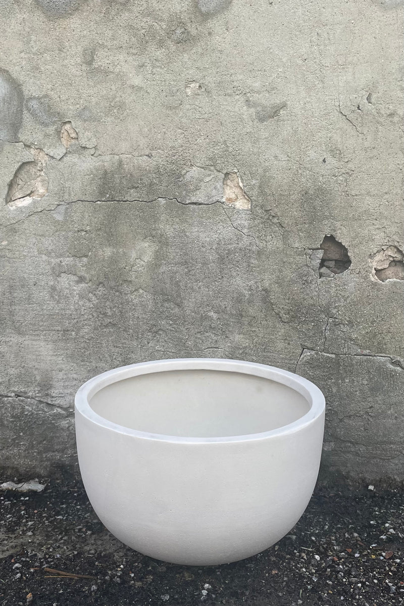 A frontal view of Sunny Bowl Natural White Medium against a concrete backdrop