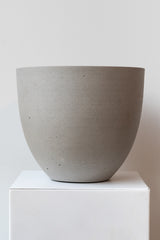 Clouded grey medium Coral Pot on white surface in front of white background